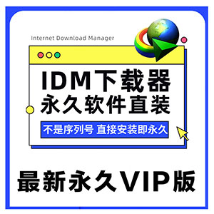 最新版【IDM】永久终身使用全球最好的下载软件整理-小内网